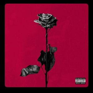 Meet your Posher, Adriane